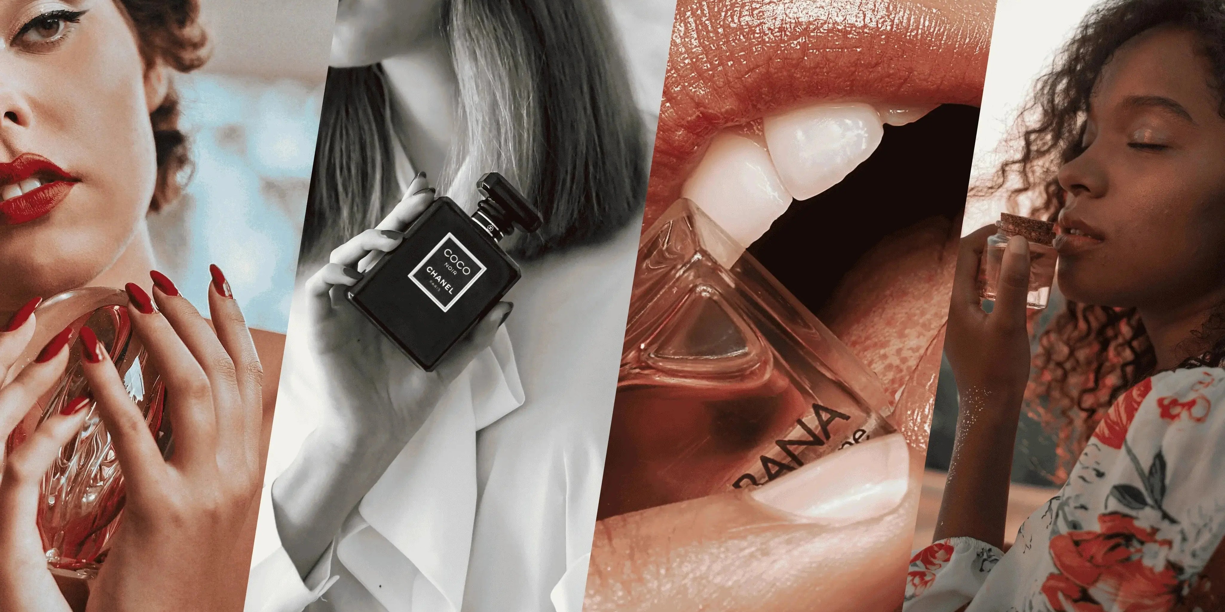 See Our Selection of Perfume Brands