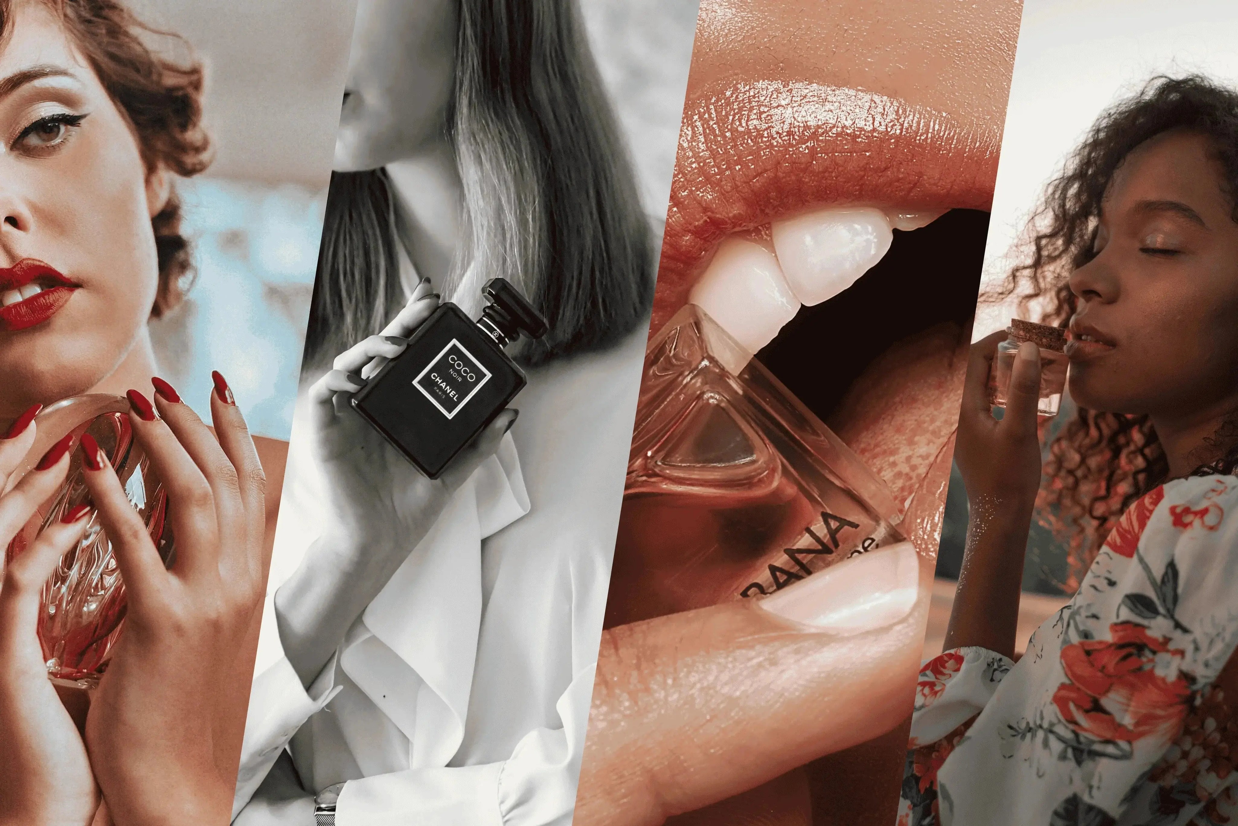 See Our Selection of Perfume Brands