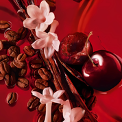 Yves Saint Laurent Yves Saint Laurent Black Opium Over Red by Yves Saint Laurent Eau De Parfum 3 oz