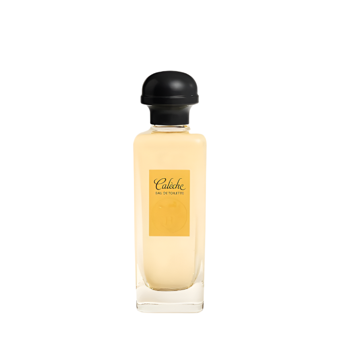 Scent Sorority Hermes Caleche by Hermes Eau De Toilette 3.4 oz