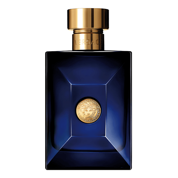 Versace Versace Dylan Blue Pour Homme by Versace Eau De Toilette 3.4 oz