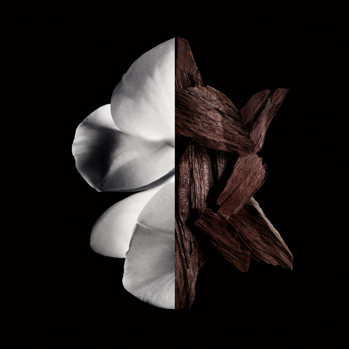 Givenchy Givenchy Gentleman Boisee by Givenchy Eau De Parfum 3.3 oz