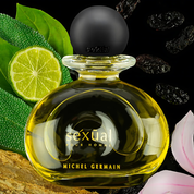 Scent Sorority Michel Germain Sexual Pour Homme by Michel Germain Eau De Toilette 2.5 oz