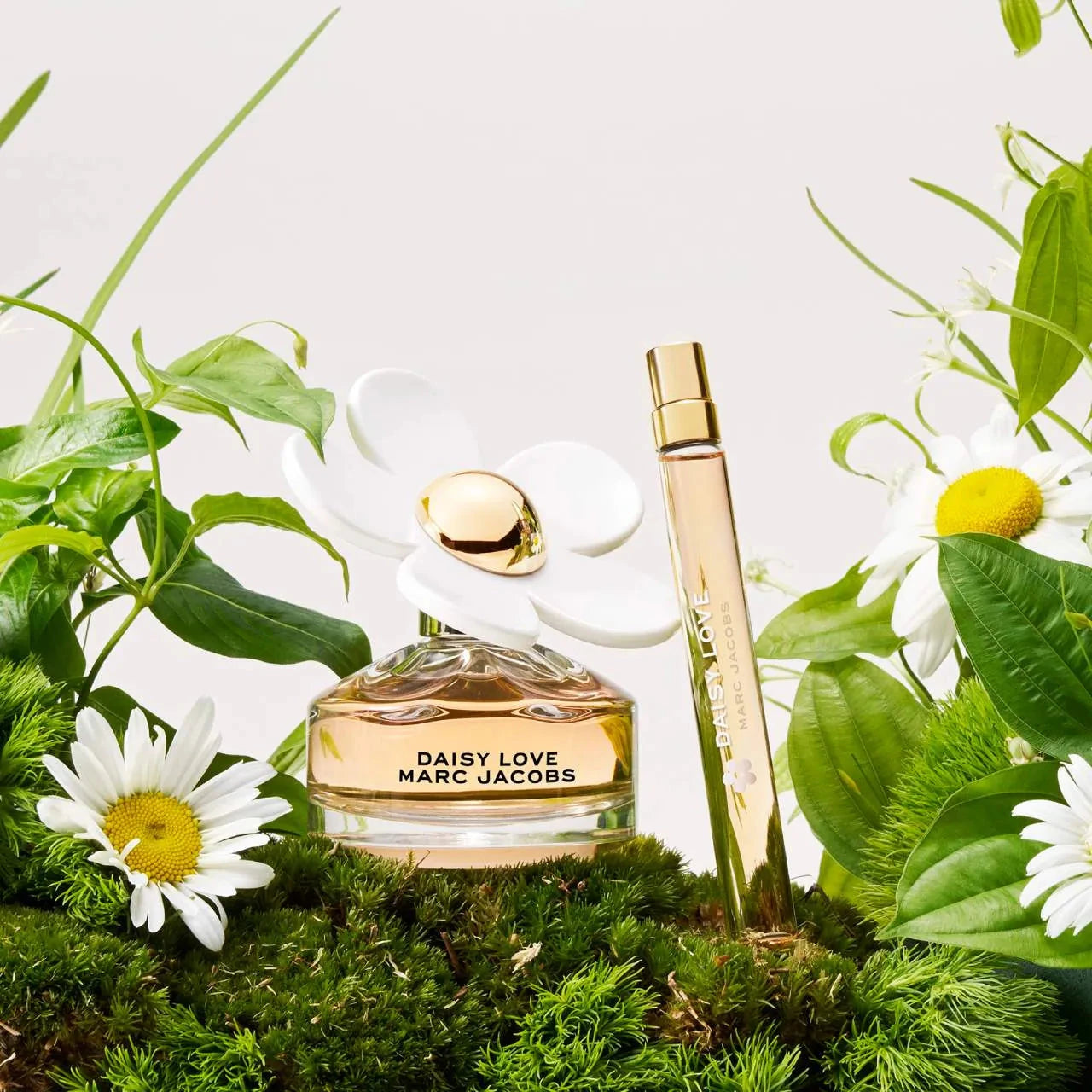 Scent Sorority Marc Jacobs Daisy Love by Marc Jacobs Eau De Toilette 1.7 oz